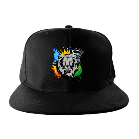 Element Kings Black Snapback Hat