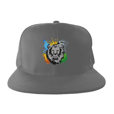 Element Kings Grey Snapback Hat